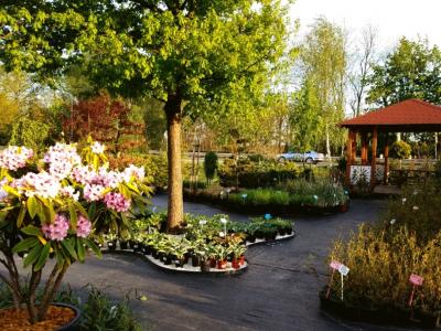 Centrum Ogrodnicze JUNIPEA w Marszowie-wiosna